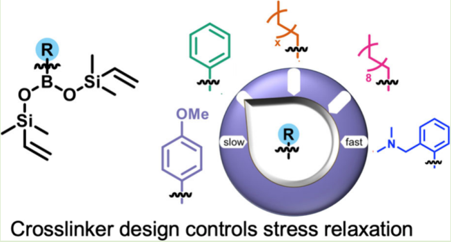 Graphical abstract showing how cross-linker substituents control stress relaxation in polyborosiloxane networks.