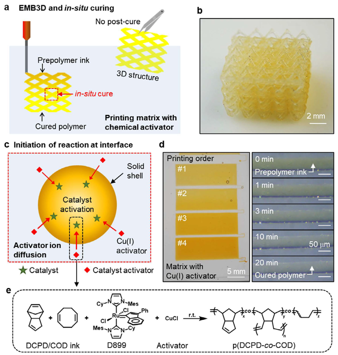 Figure 1: embedded printing in a chemically activating bath, a printed lattice, interfacial catalyst activation, filament curing, and polymerization chemistry.