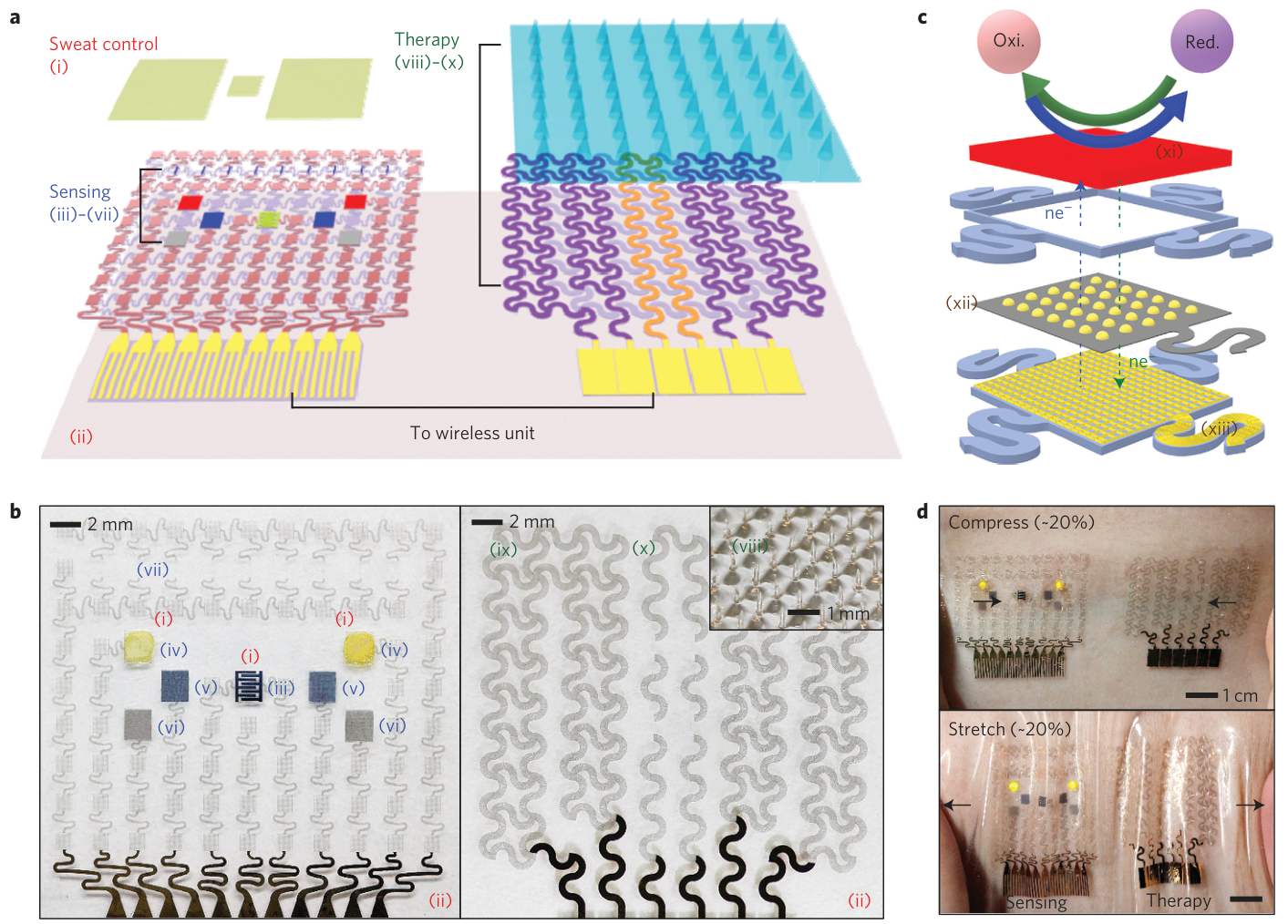 Figure 1: exploded schematics of a graphene-based wearable sensing and therapy patch, microneedles, and photographs of devices on skin.