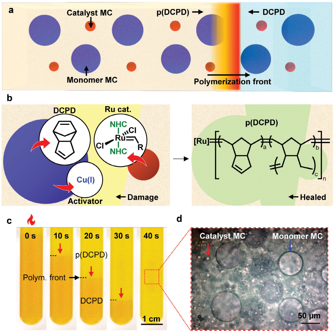 Figure 1: frontal polymerization of a thermoset containing microcapsules, damage-triggered healing chemistry, propagation photographs, and capsule micrograph.